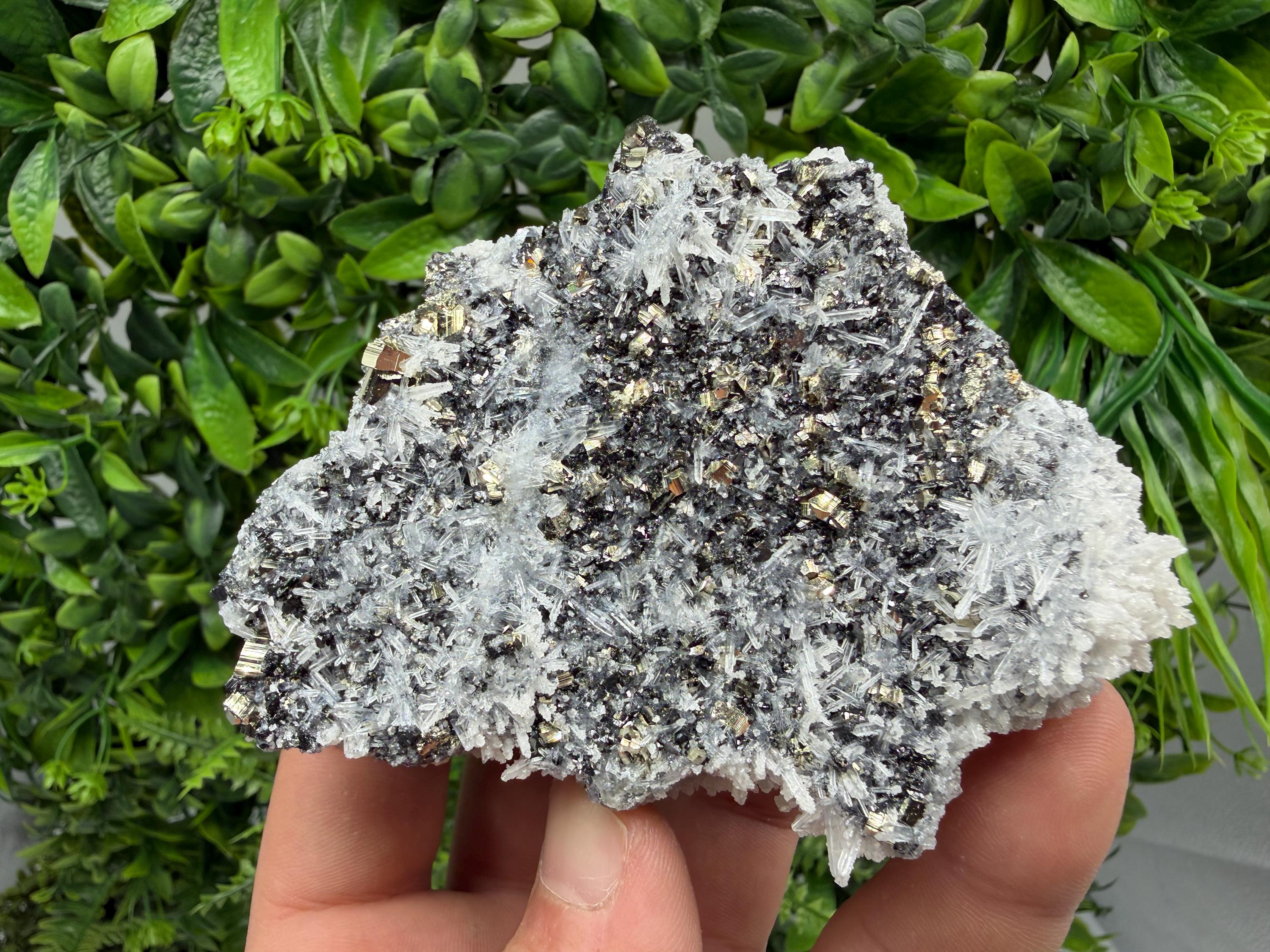 Pyrite Sphalerite Quartz  Mineral Specimen, Krushev dol Mine