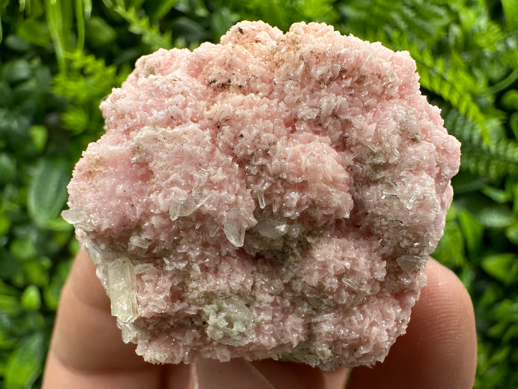 Pink Rhodochrosite Crystal: Starnica Mine, Bulgaria - Home Decor Stone