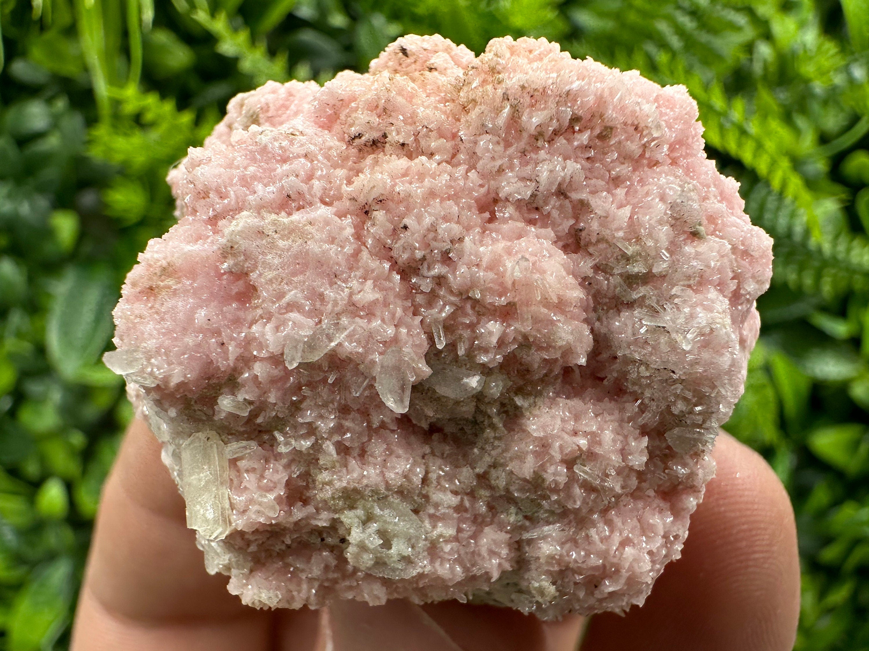 Pink Rhodochrosite Crystal: Starnica Mine, Bulgaria - Home Decor Stone