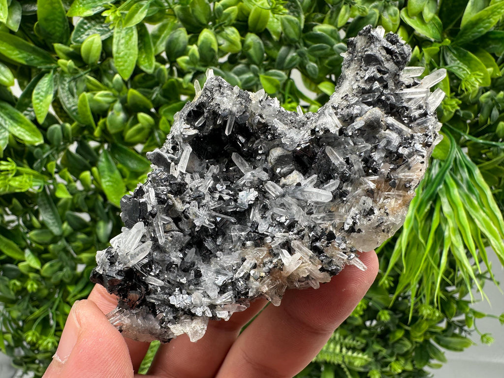 Wonderful Sphalerite Chalcopyrite on  Quartz whit Galena feom 9 th September mine,Bulgaria,natural,collection mineral specimen,gift