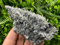 Galena on Quartz with Pyrite: Natural Crystal Home Decor Stone