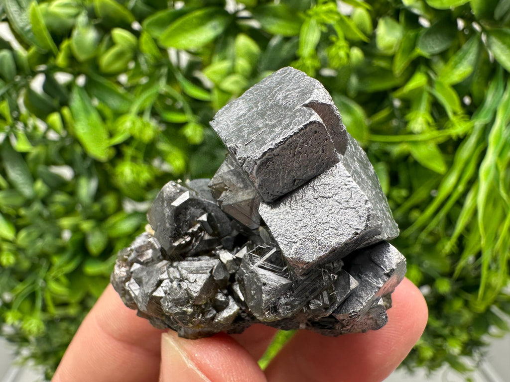 Skeletal Galena whit Cleiopfane from 9 th September mine,Madan,Bulgaria,natural,collection mineral specimen,Home decor stone ,Galena skelet