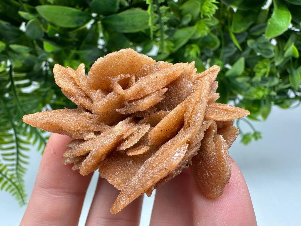 Natural Desert Rose Crystal – Root Chakra Healing Brown Selenite Stone