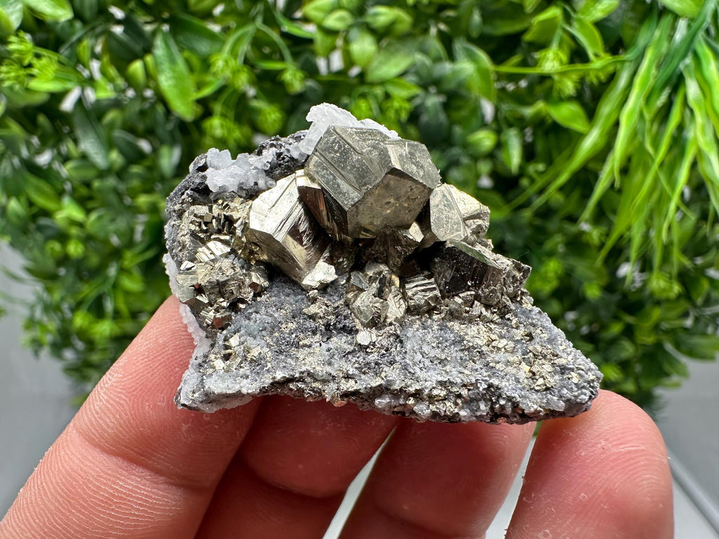 Golden Pyrite,Sphalerite from 9th September mine,Madan,Bulgaria,natural,collectible mineral specimen,home decor crystal,Pyrite cluster,