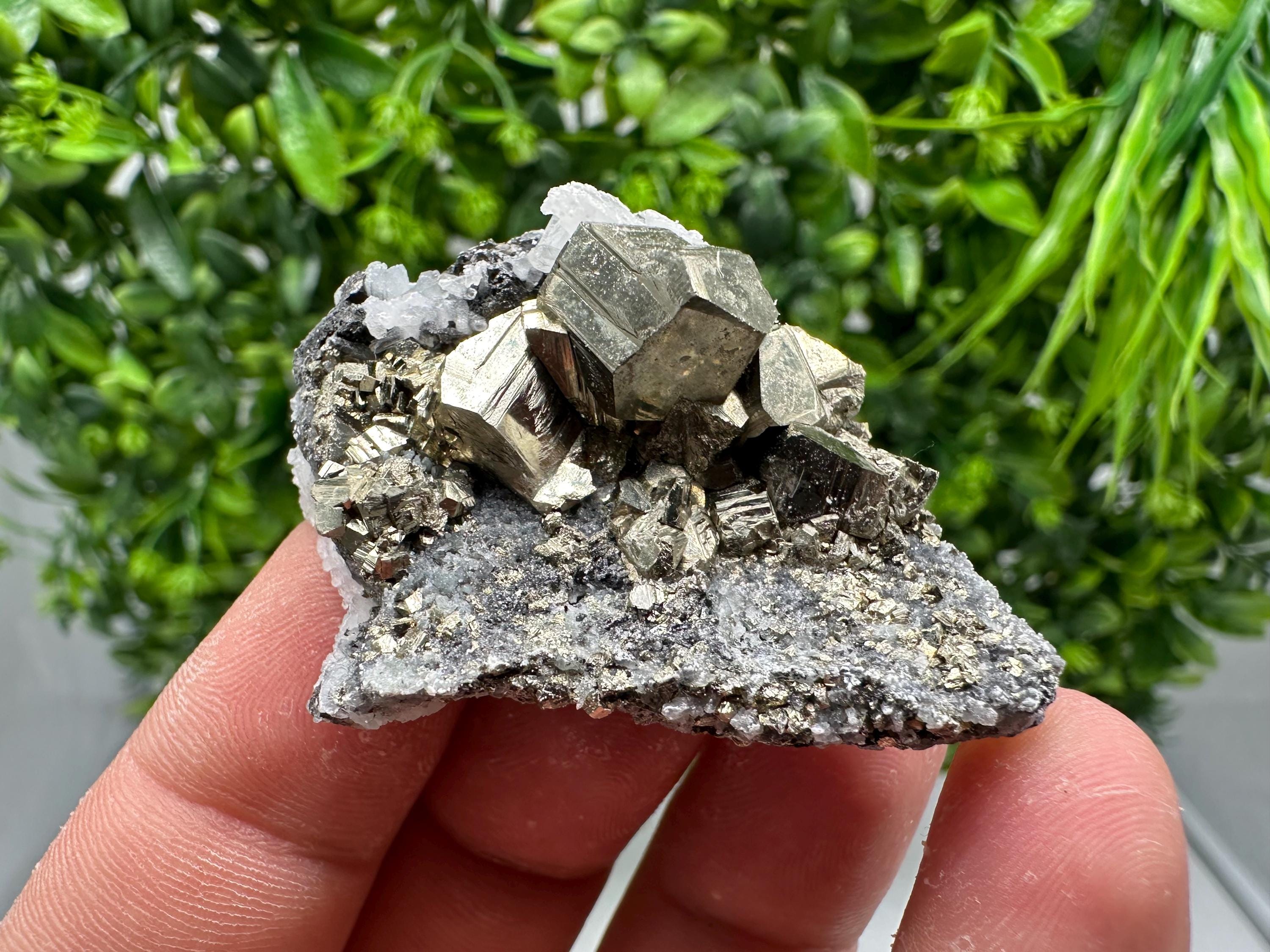 Golden Pyrite,Sphalerite from 9th September mine,Madan,Bulgaria,natural,collectible mineral specimen,home decor crystal,Pyrite cluster,