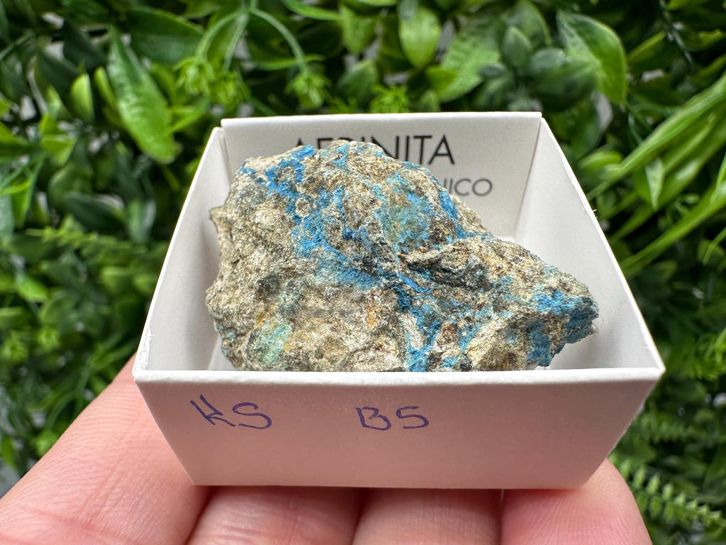Rare Raw Aerinite Mineral Specimen: Lleida, Spain Crystal