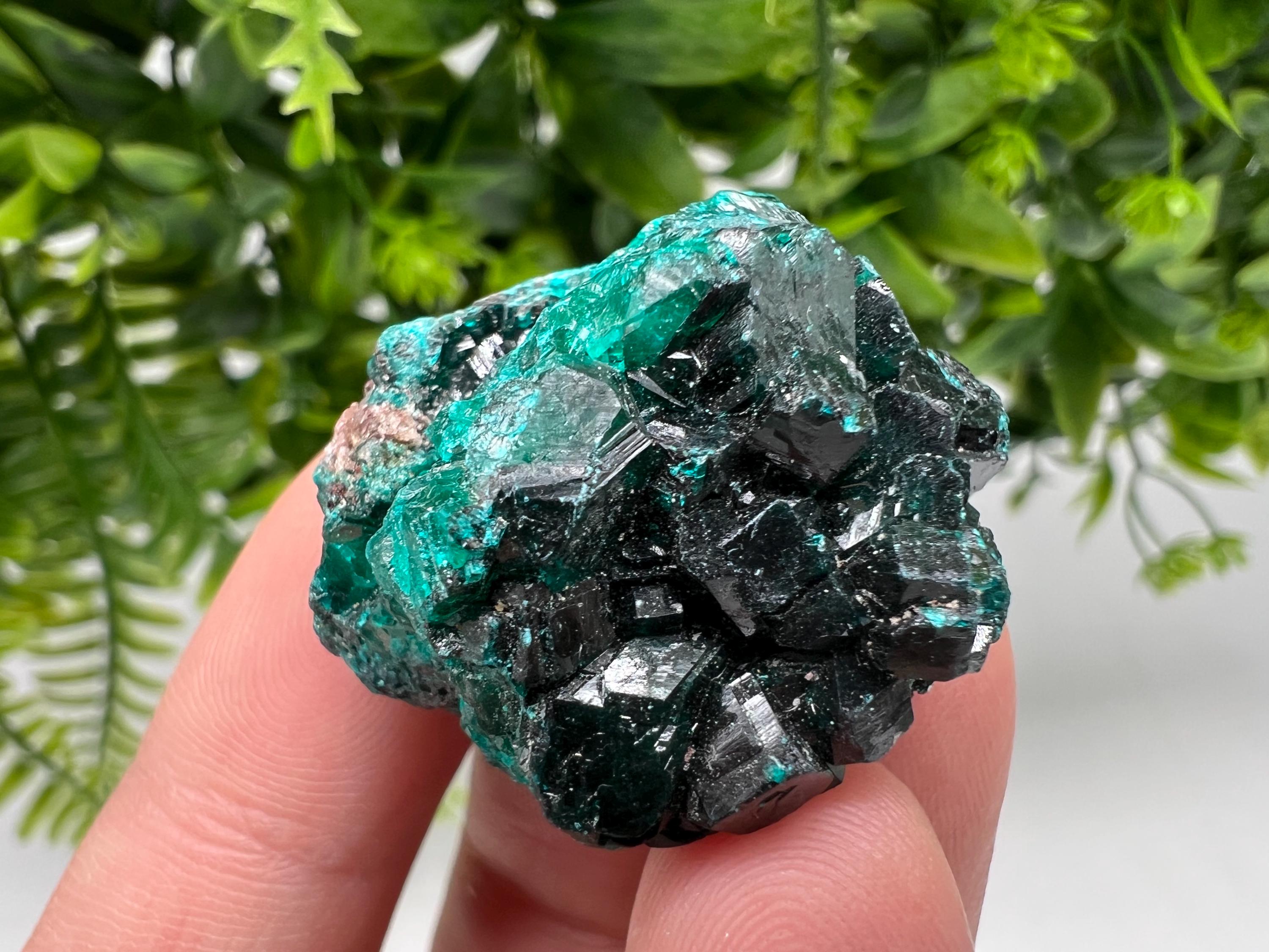 Stunning Green Dioptase from Sanda Hills,Mindouli,Pool Department,Mindouli District,Congo,green Dioptase,Dioptas Crystal,Dioptase collecting
