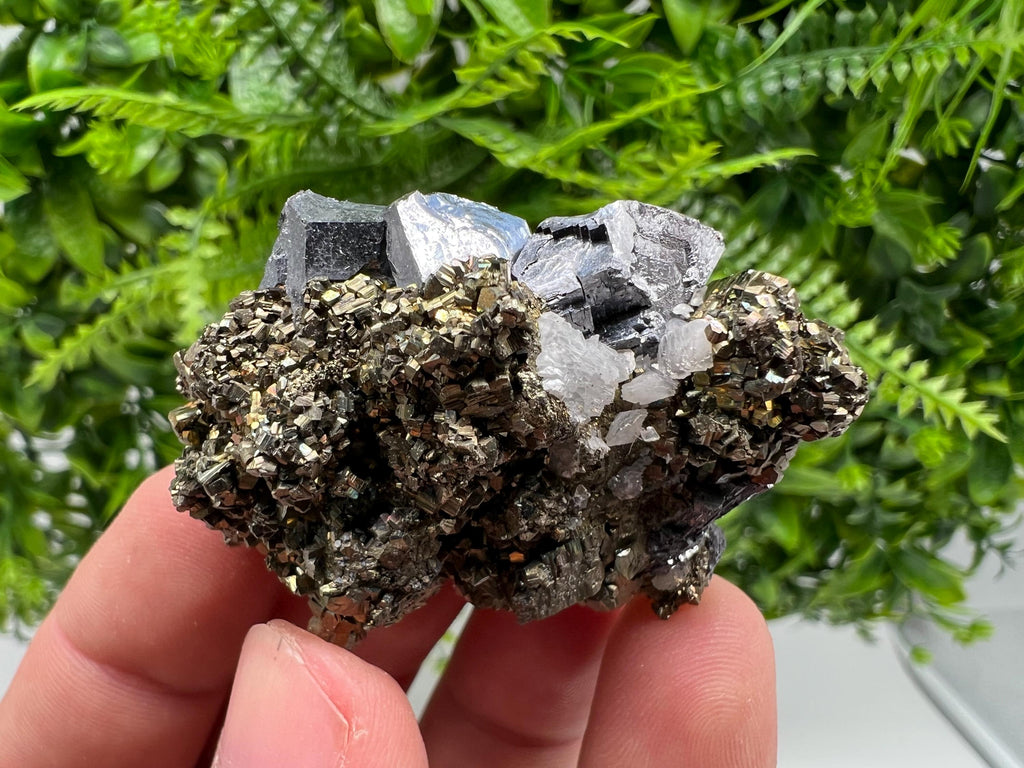 Galena on Pyrite Specimen: Borieva Mine, Bulgaria