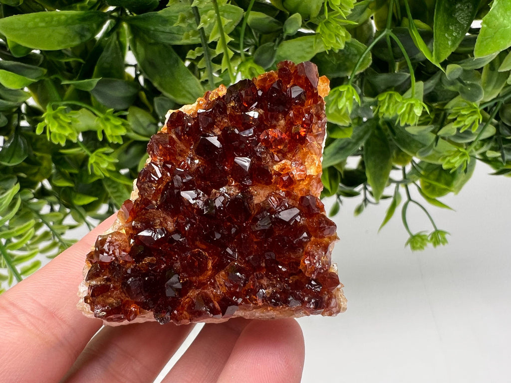Brazilian Citrine Crystal Cluster, Hematite Inclusions