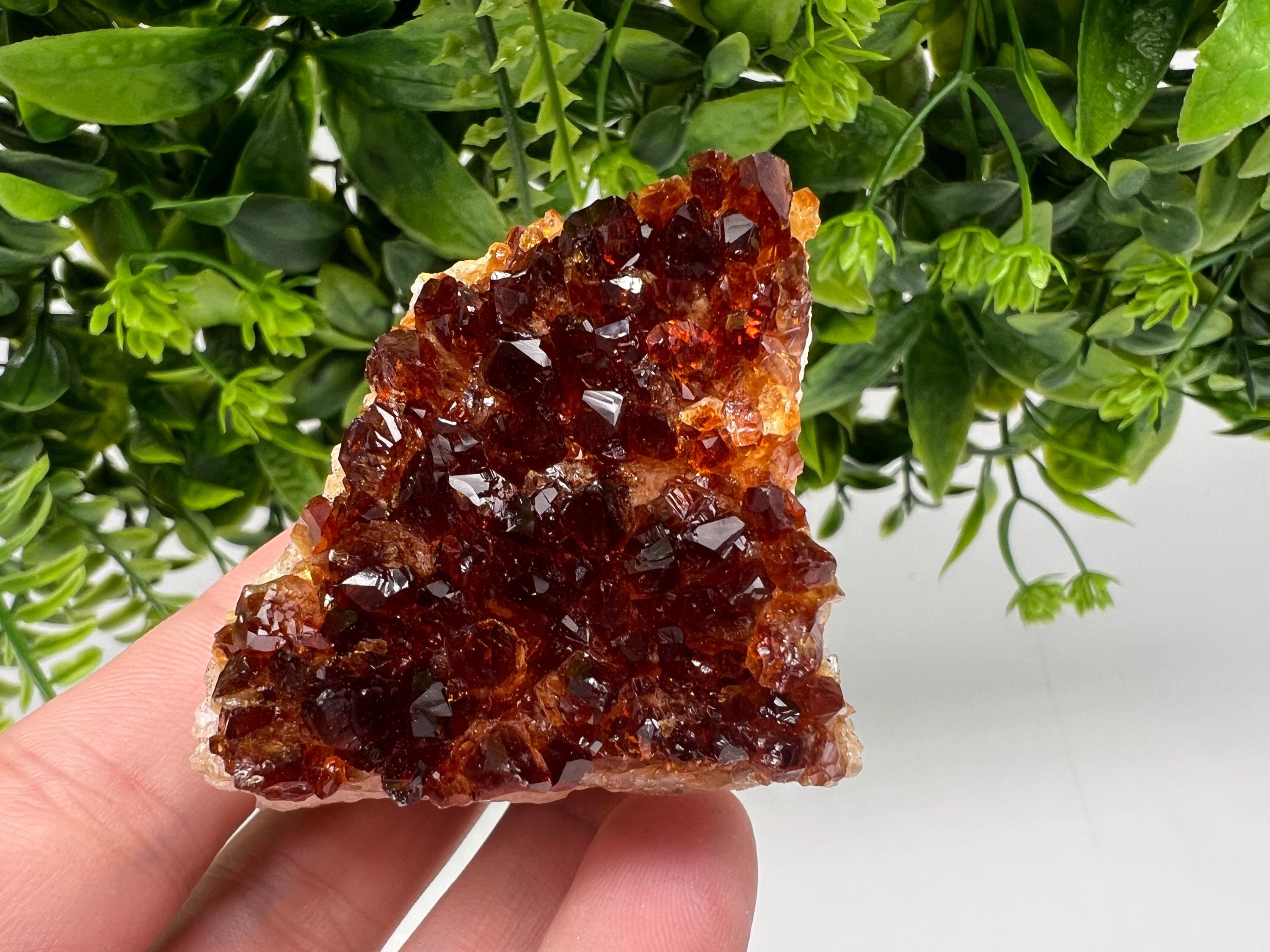 Brazilian Citrine Crystal Cluster, Hematite Inclusions