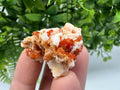 Red Vanadinite on Barite from Marocco,crystal minerals Speciment cluster Vanadinite crystal Vanadinite Geology Vanadinite cluster minerals