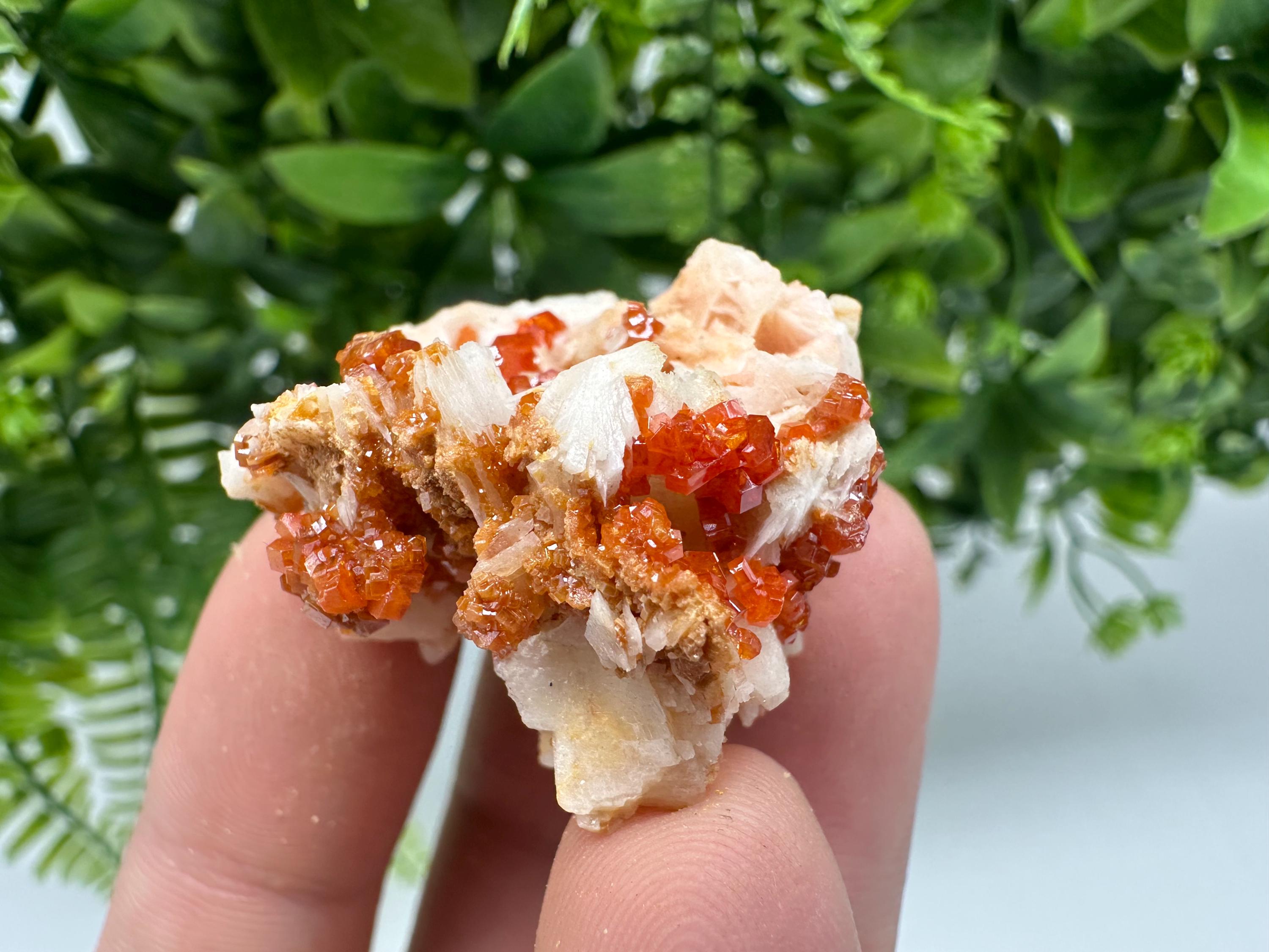 Red Vanadinite on Barite from Marocco,crystal minerals Speciment cluster Vanadinite crystal Vanadinite Geology Vanadinite cluster minerals