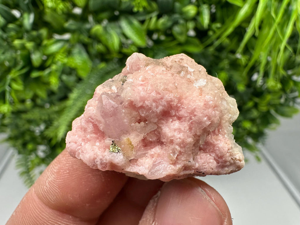 Rhodochrosite on Quartz: Pink Crystal Home Decor, Bulgaria Mineral Souvenir