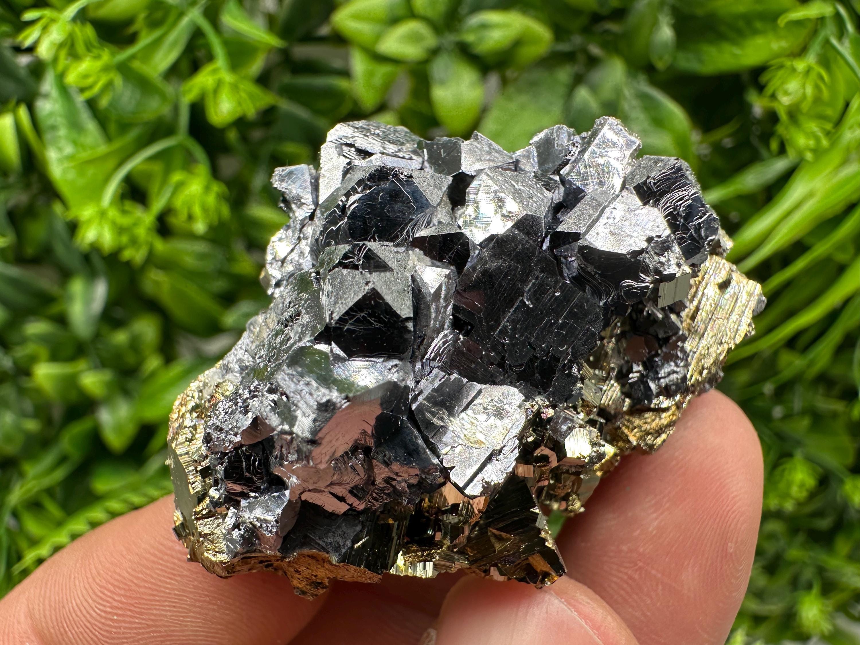 Galena on Pyrite Specimen: Borieva Mine, Bulgaria