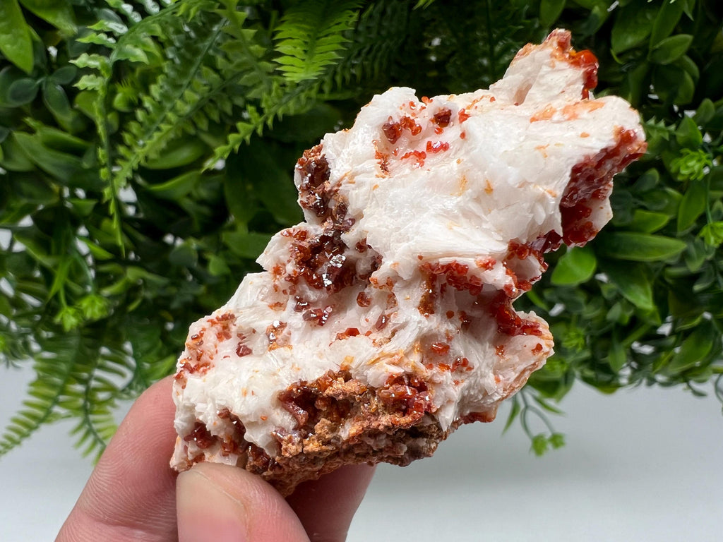 Wonderful Barite whit Vanadinite,Marocco,crystal minerals Speciment cluster Vanadinite crystal Vanadinite Geology Vanadinite cluster mineral