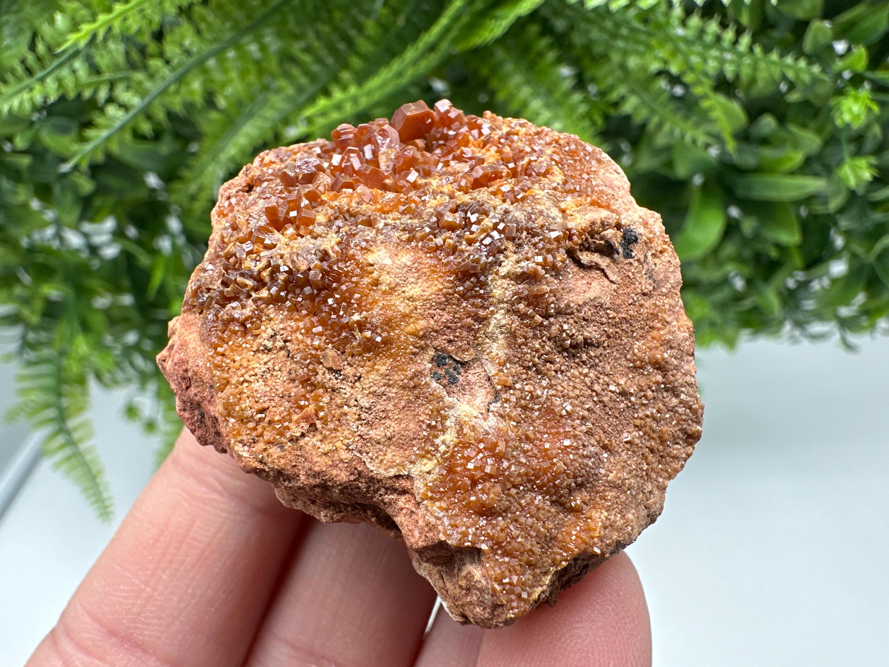 Red Vanadinite on Matrix from Marocco,crystal minerals Speciment cluster Vanadinite crystal Vanadinite Geology Vanadinite cluster minerals