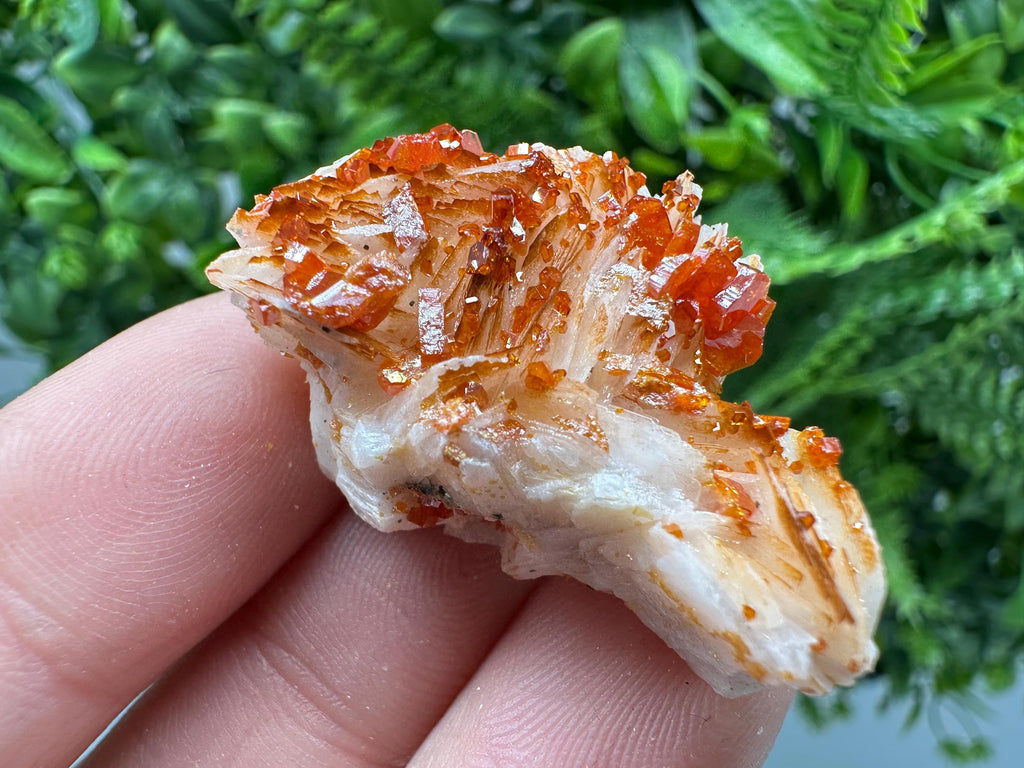 Red Vanadinite on Barite, Moroccan Crystal Specimen