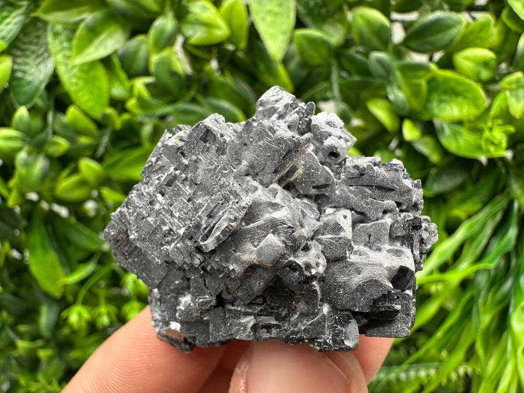 Skeletal Galena on Sphalerite: Natural Mineral Crystal Decor
