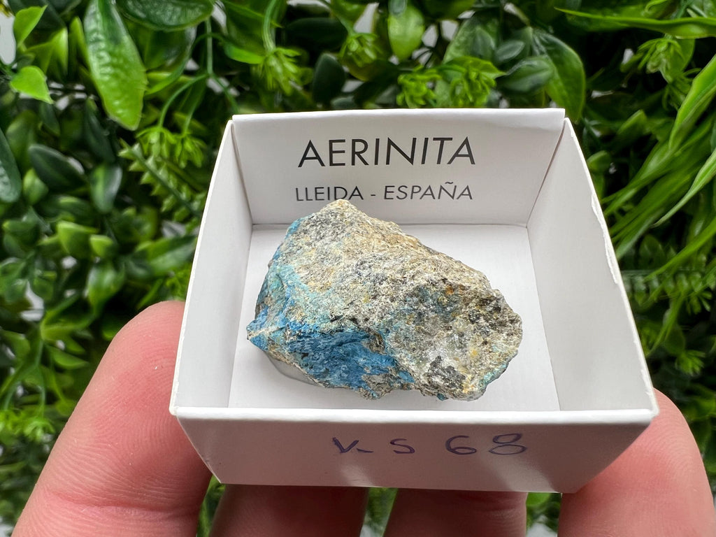 Rare Raw Aerinite Mineral Specimen: Lleida, Spain (3.5/3.5 CM)