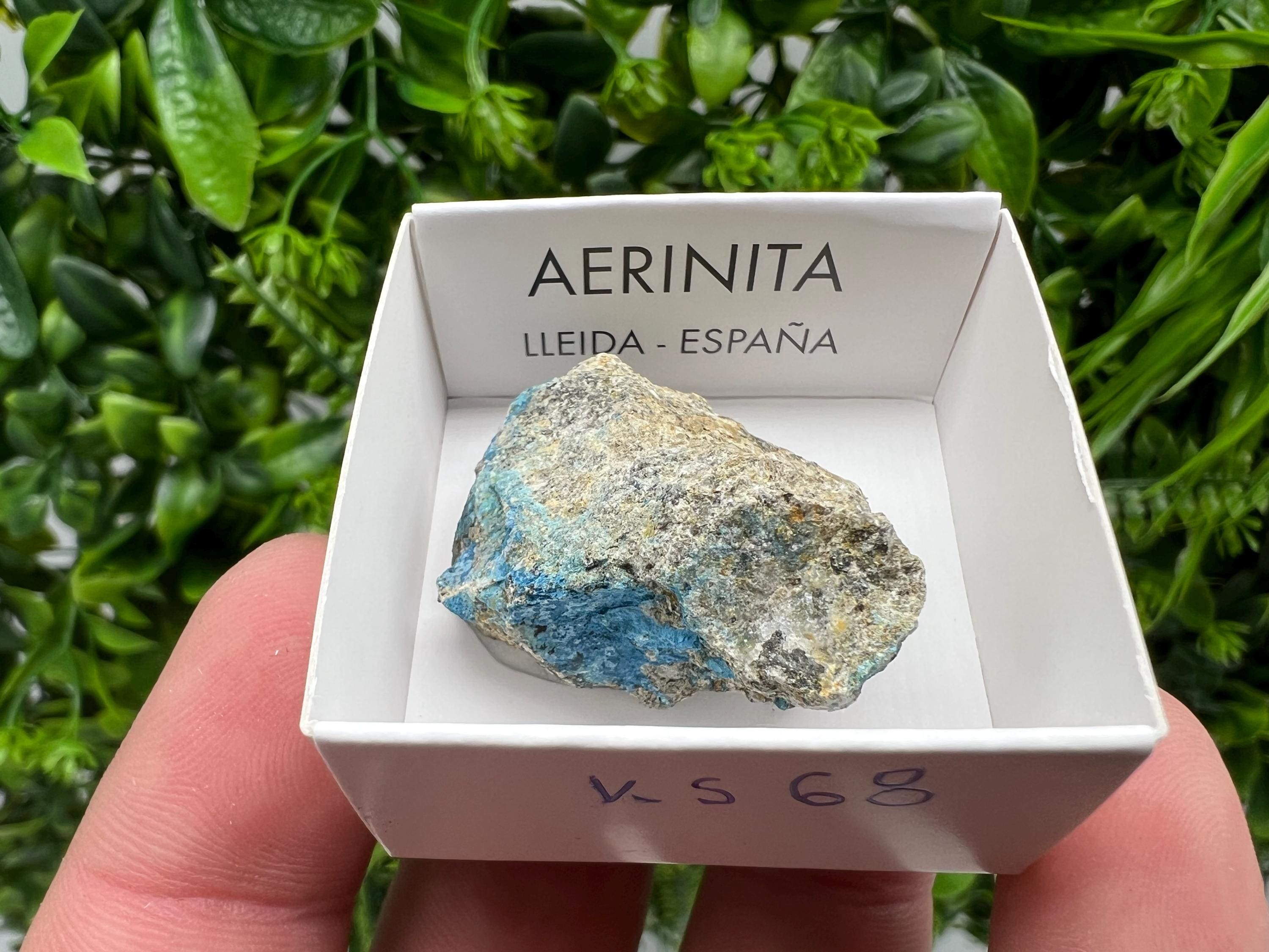 Rare Raw Aerinite Mineral Specimen: Lleida, Spain (3.5/3.5 CM)