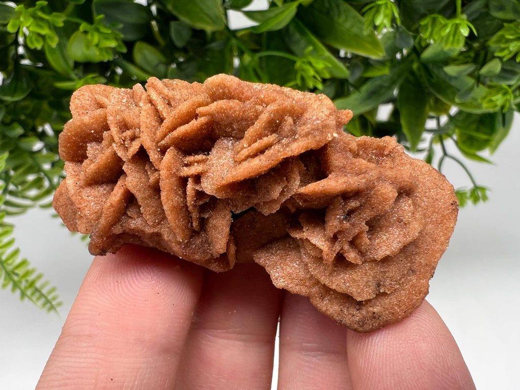 Desert Rose Crystal: Root Chakra Healing Selenite Stone