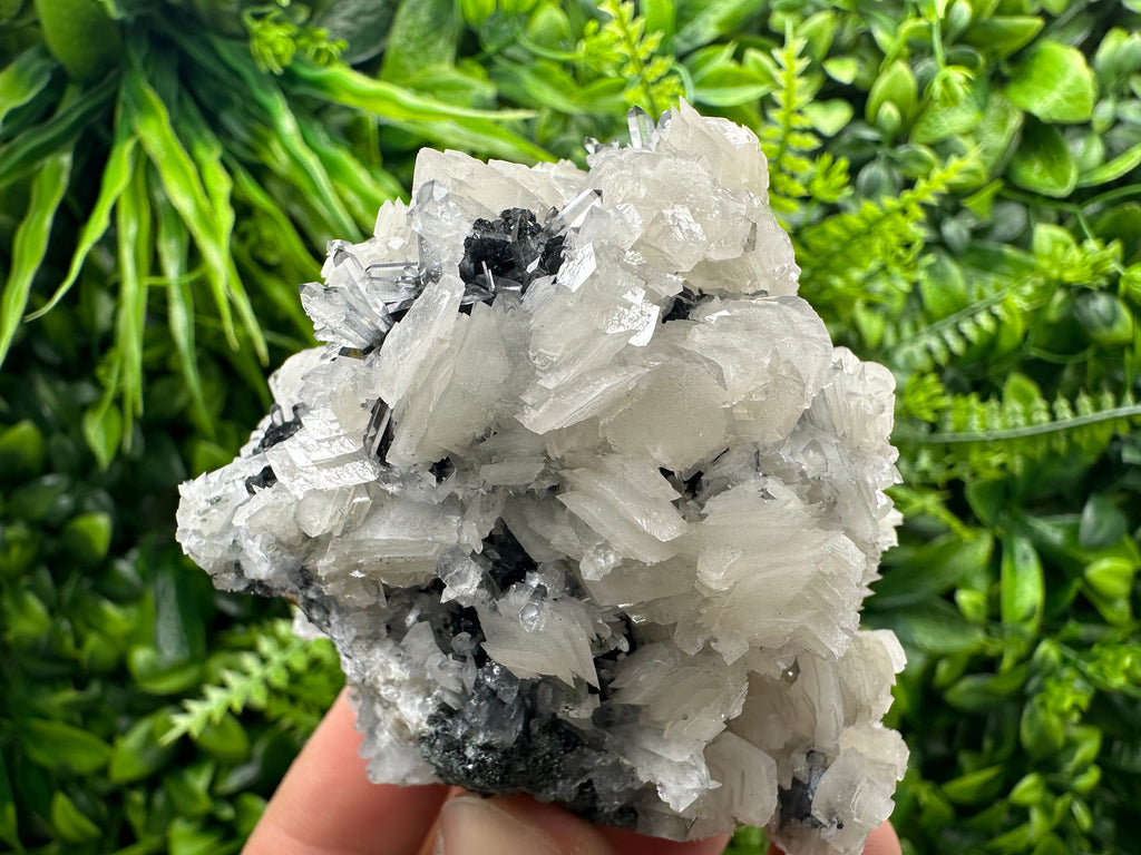 UV Fluorescence Calcite on Sphalerite, Quartz, Borieva Mine Crystal