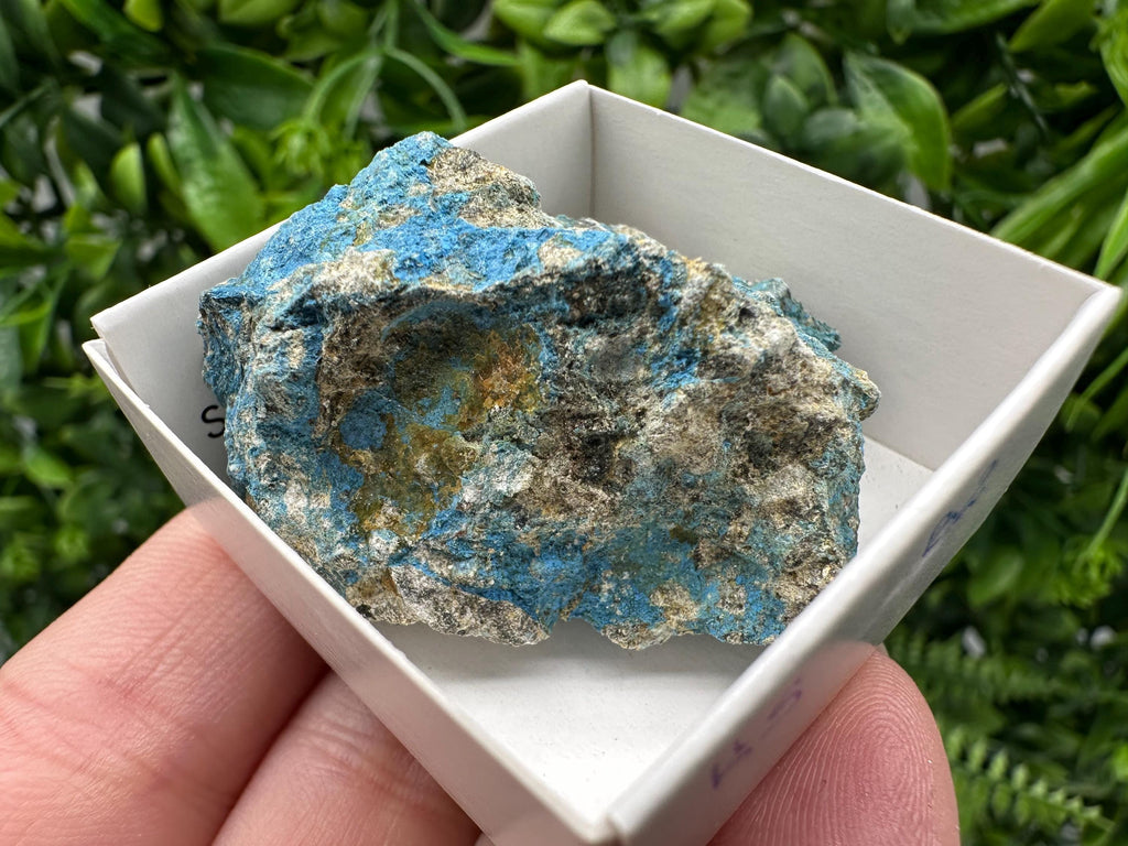 Rare Raw Aerinite Mineral Specimen: Lleida, Spain Crystal