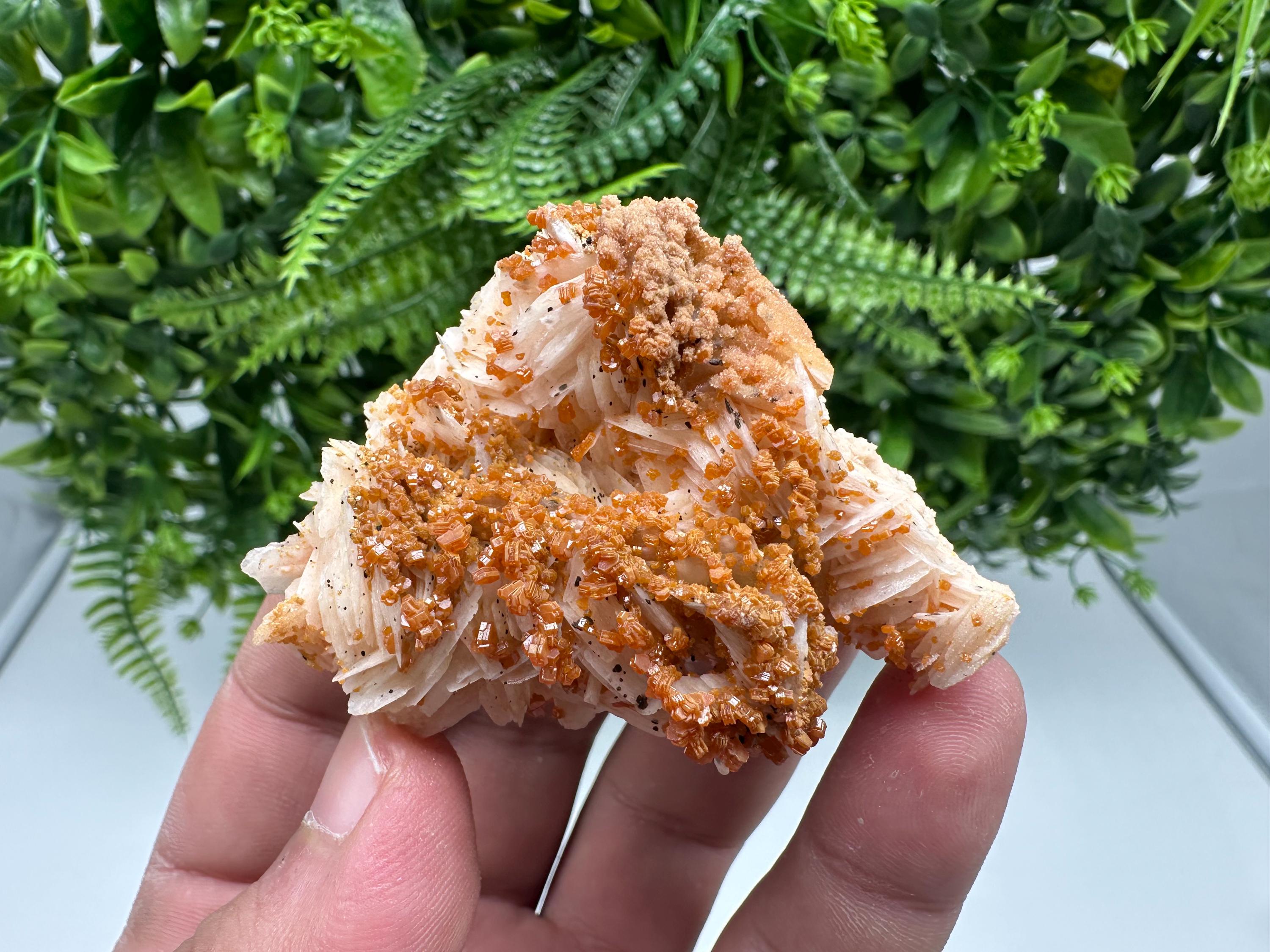 Red Vanadinite on Barite from Marocco,crystal minerals Speciment cluster Vanadinite crystal Vanadinite Geology Vanadinite cluster minerals