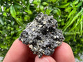 Pyrite Galena Sphalerite Quartz Specimen: Borieva Mine, Bulgaria