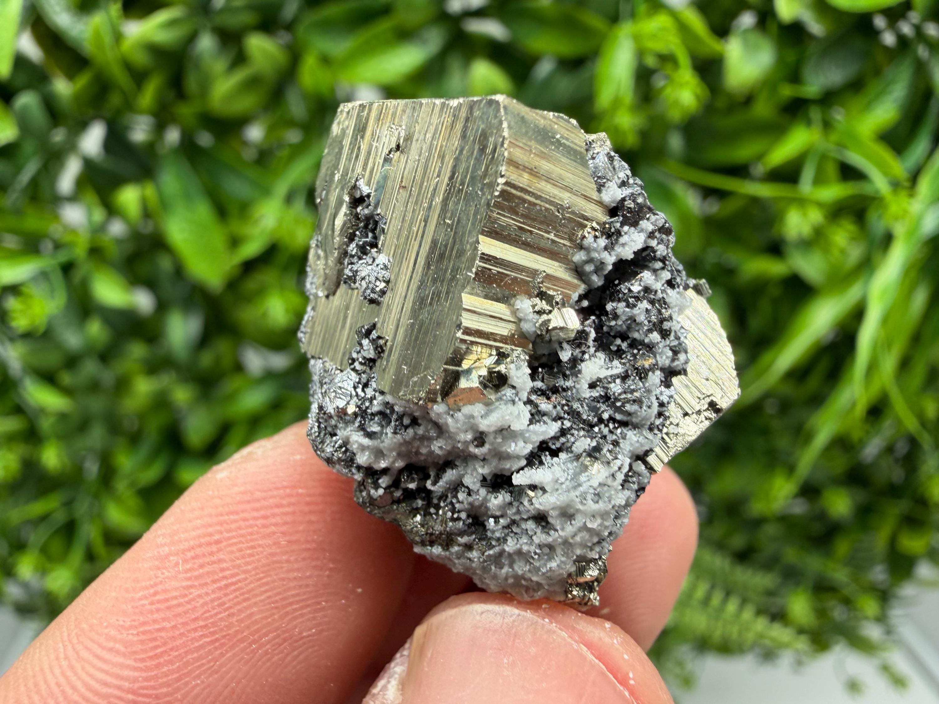 Pyrite Sphalerite Quartz  Mineral Specimen, Krushev dol Mine