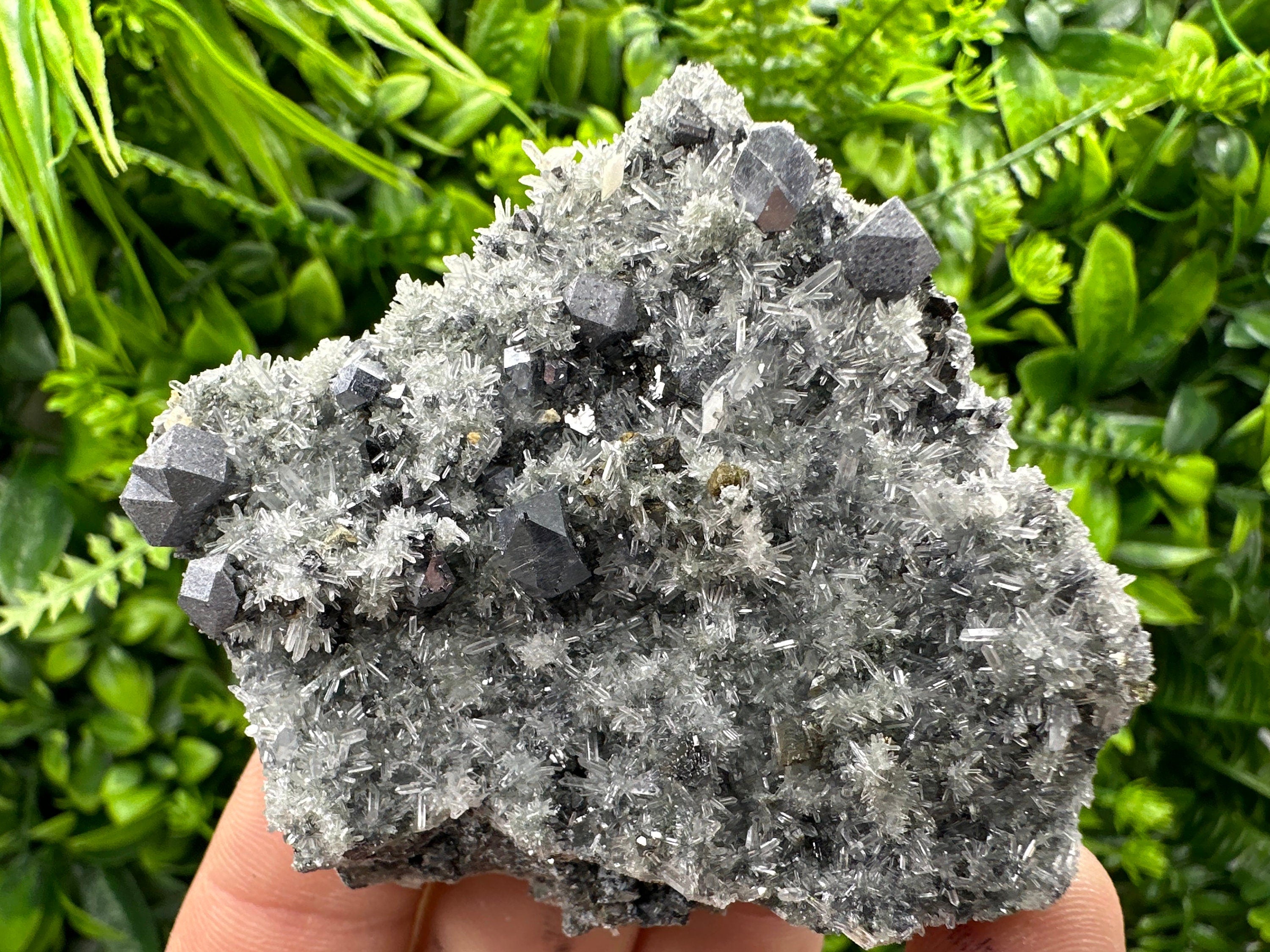 Galena on Quartz with Pyrite: Natural Crystal Home Decor Stone