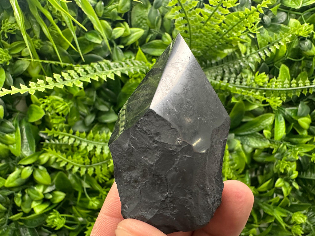 Polished Shungite Crystal: EMF Protection Stone (5cm)