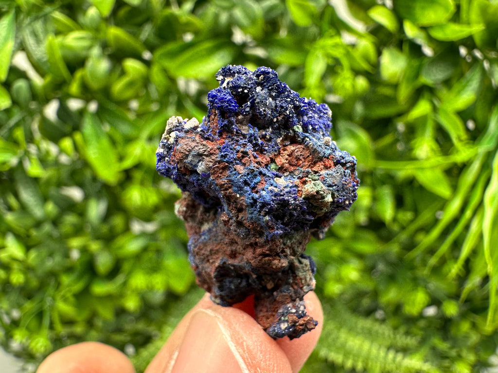 Crystallized Azurite-Kerrouchen,Morocco-Blue Azurite Specimen-High Quality Blue Azurite-Azurite Mineral Specimen, gemmy,lustrous of Azurite
