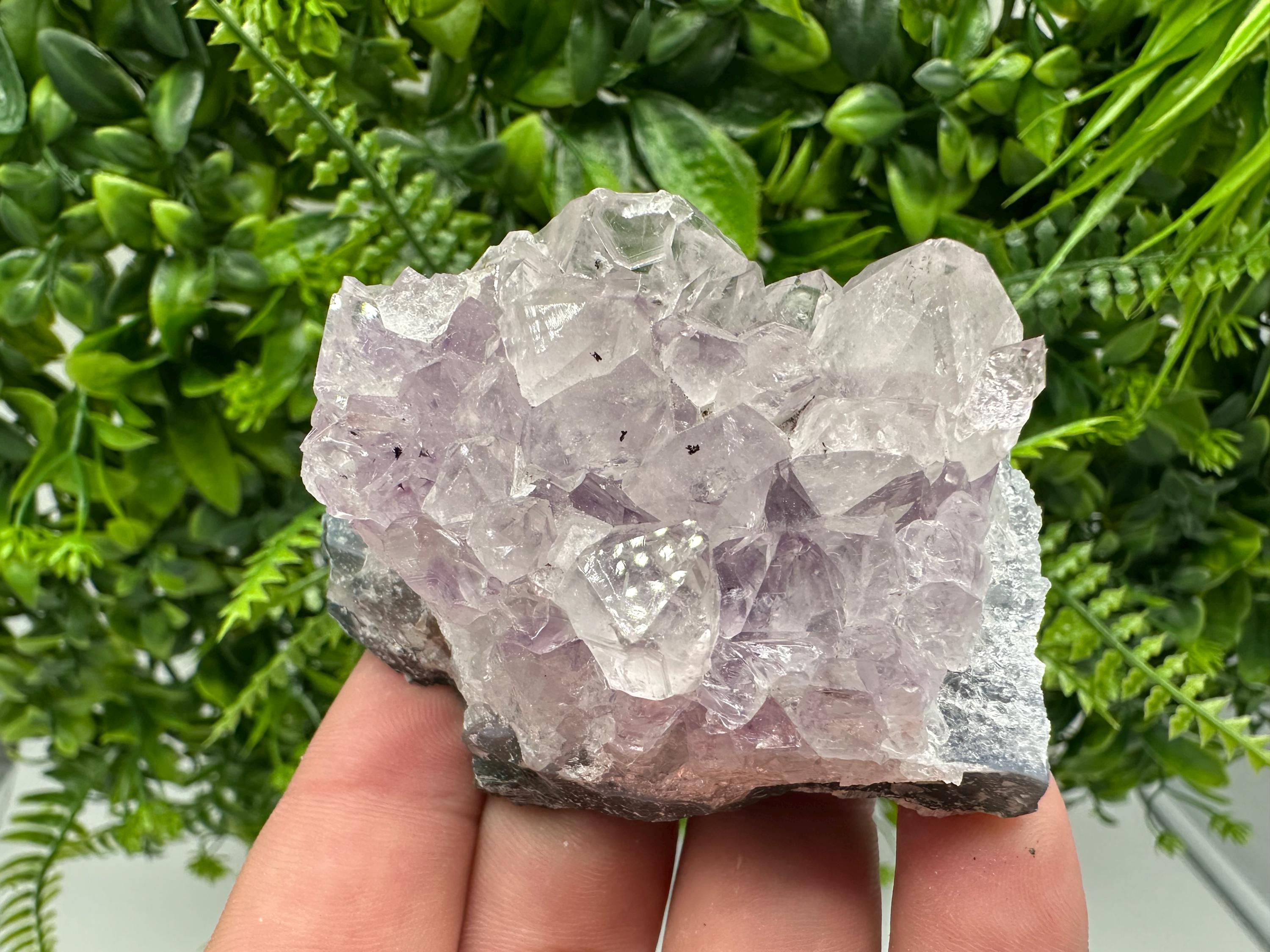 Brazilian Amethyst Cluster, Purple Quartz Crystal Specimen