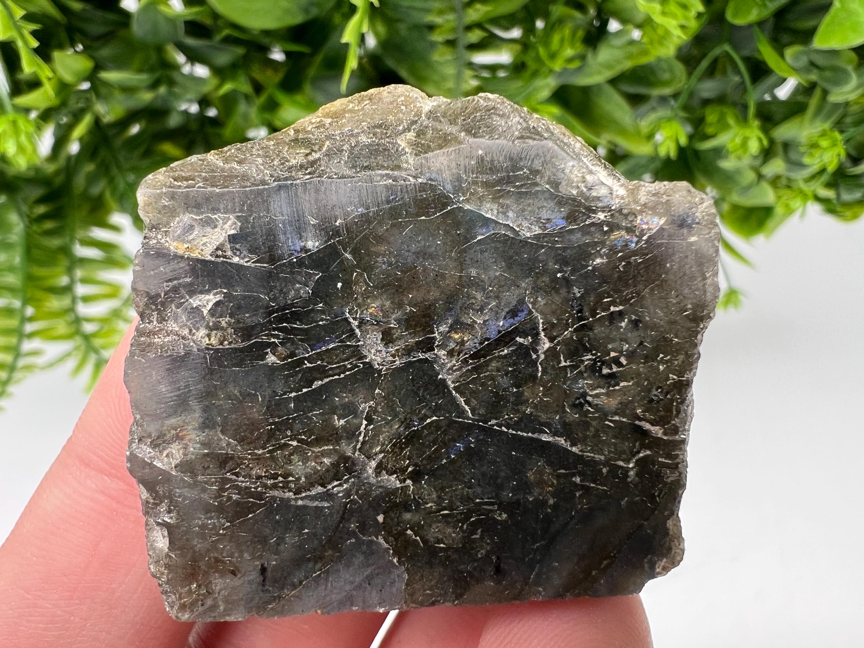 Polished Labradorite Slab: Multifire Crystal Decor - 4.5/4/1.5 CM