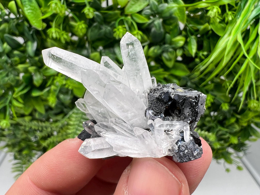 Aesthetic Natural shiny Galena whit Siderite and Quartz from 9 th September mine,Bulgaria,collection specimen,rare galena,Galena cluster