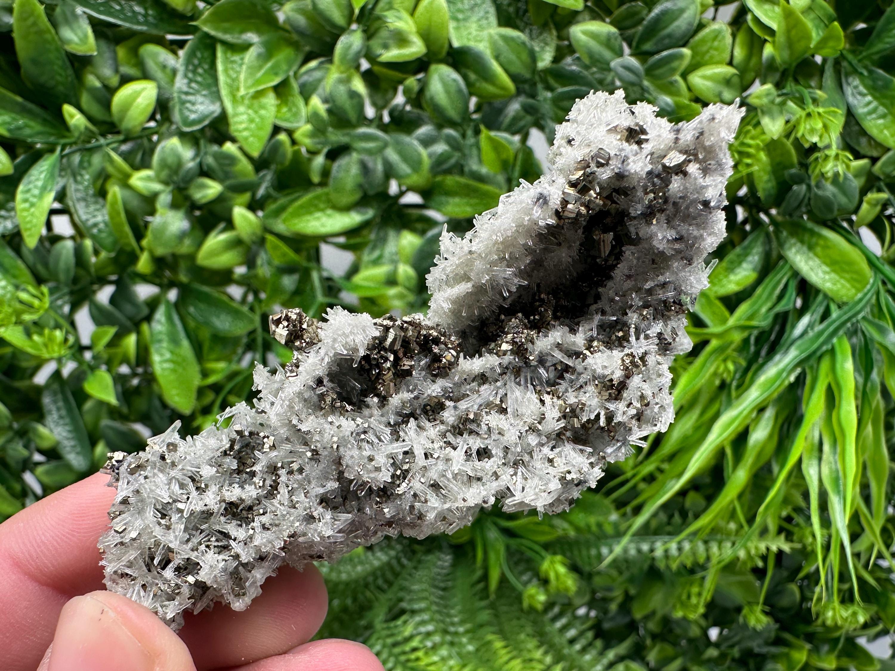 Pyrite on Needle Quartz, Madan Bulgaria, Collection Mineral Specimen