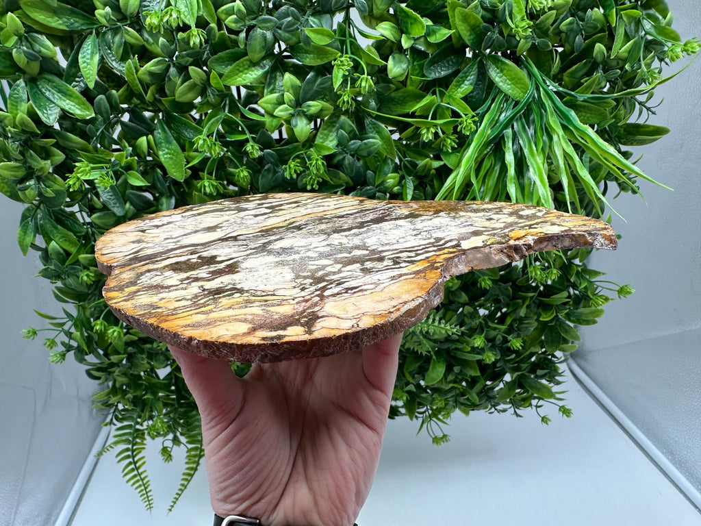 Polished Landscape Jasper Slab – Natural Scenic Stone Slice, Grounding Decor Specimen