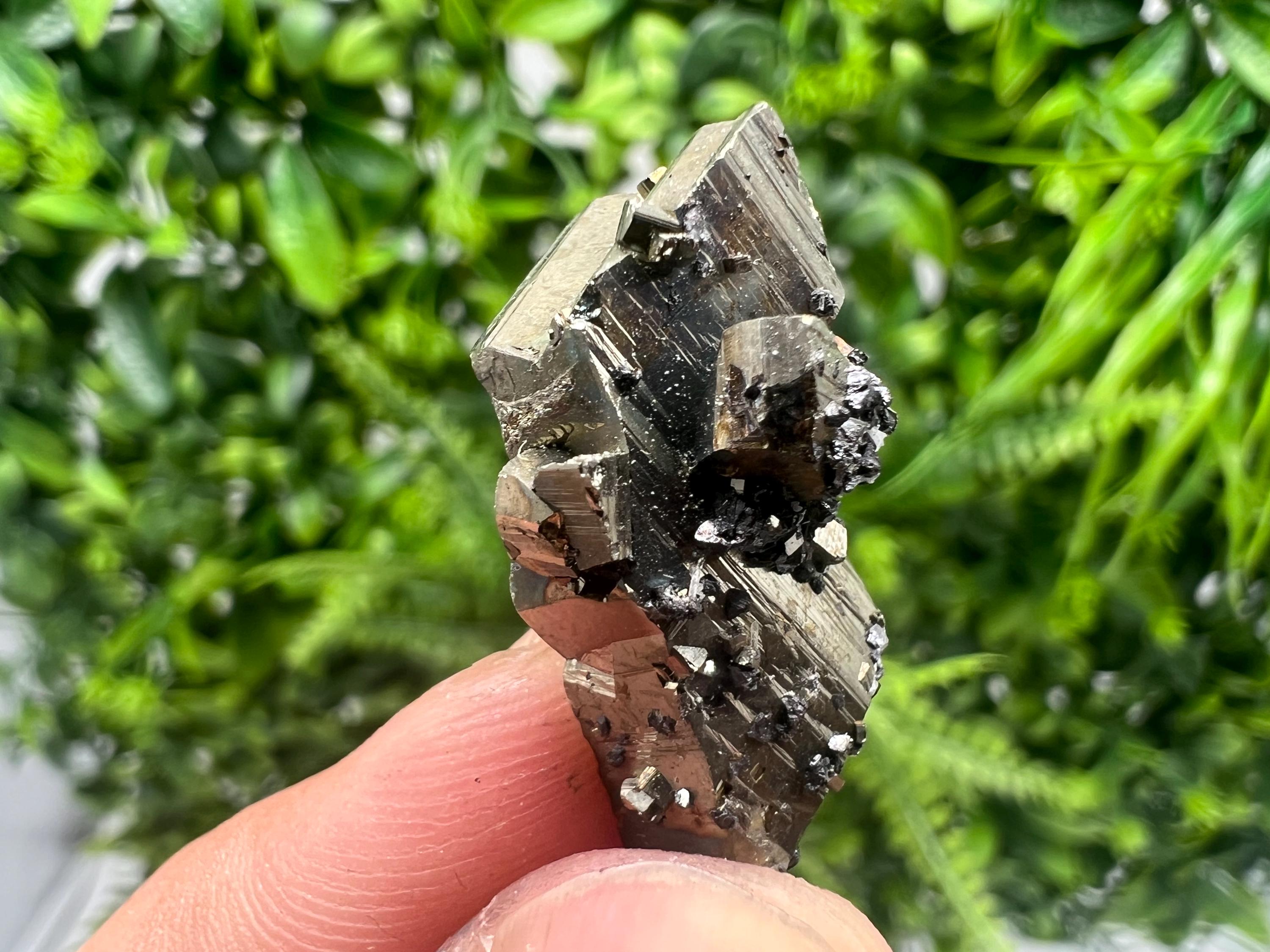 Mini Rainbow Pyrite Cluster: Borieva Mine, Bulgaria