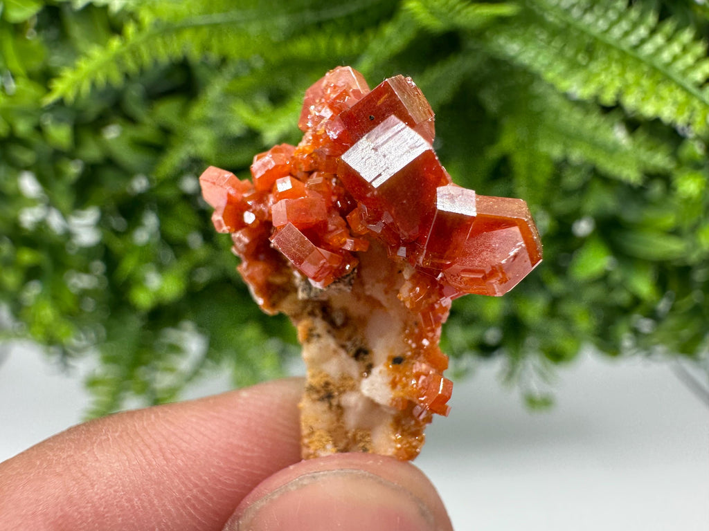 Red Vanadinite on Barite from Marocco,crystal minerals Speciment cluster Vanadinite crystal Vanadinite Geology Vanadinite cluster minerals