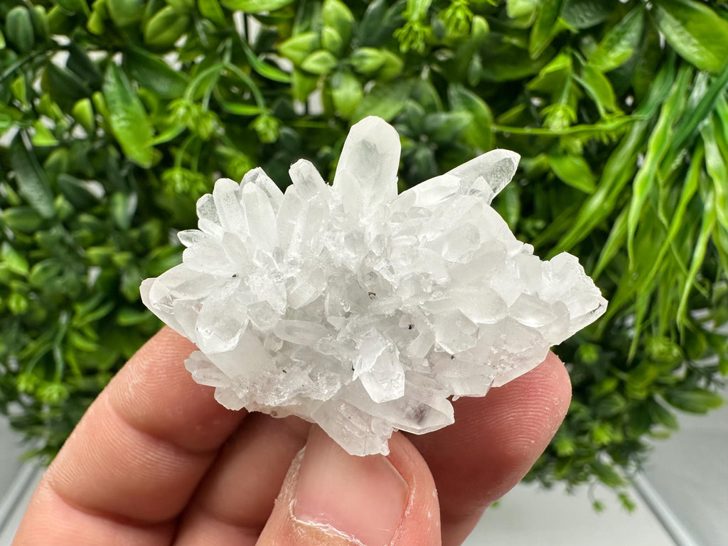 Wonderful Transparent Quartz on Chlorite Matrix,From Borieva mine,Madan,Bulgaria,Quartz,Quartz crystal,mineral specimen,collection quartz