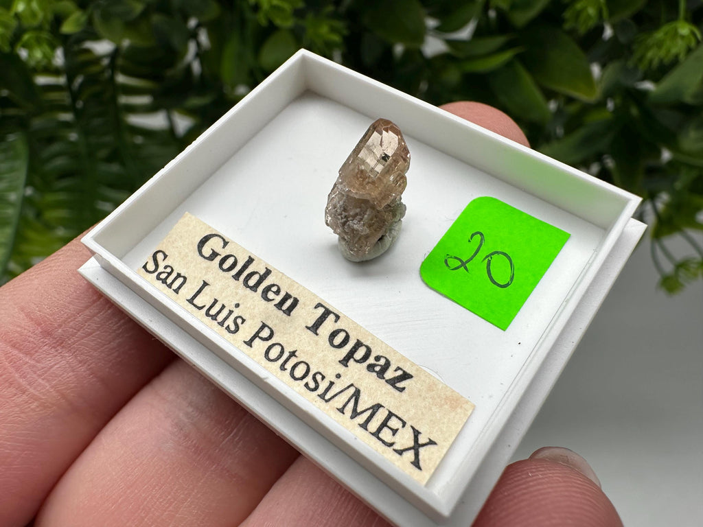 Golden Topaz Crystal, Mineral Specimen from Mexico