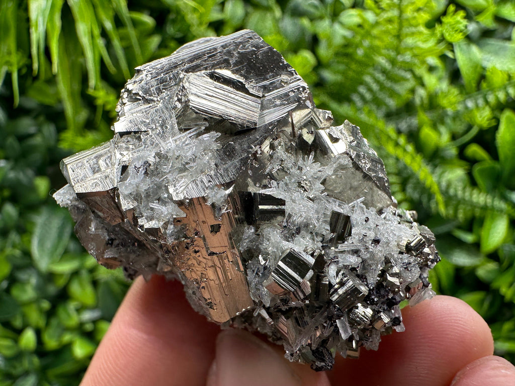 Pyrite on Needle Quartz: Chlorite Inclusions, Borieva Mine, Bulgaria