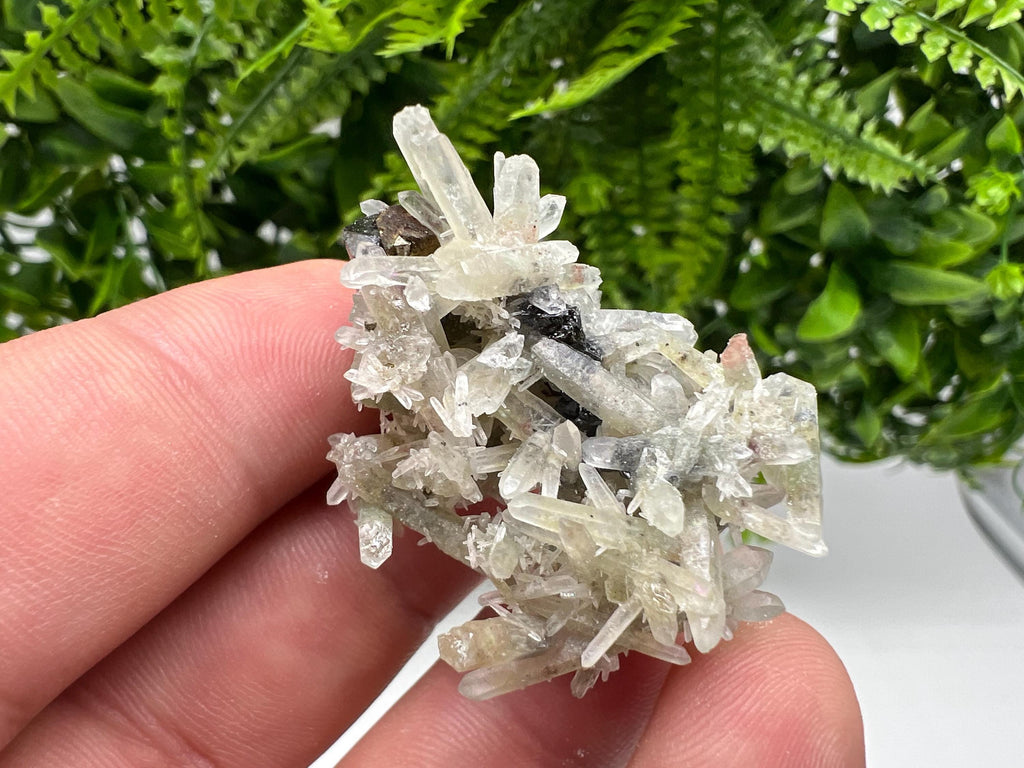 Sphalerite Chalcopyrite on Green Quartz with Hematite, Bulgaria Mineral Specimen