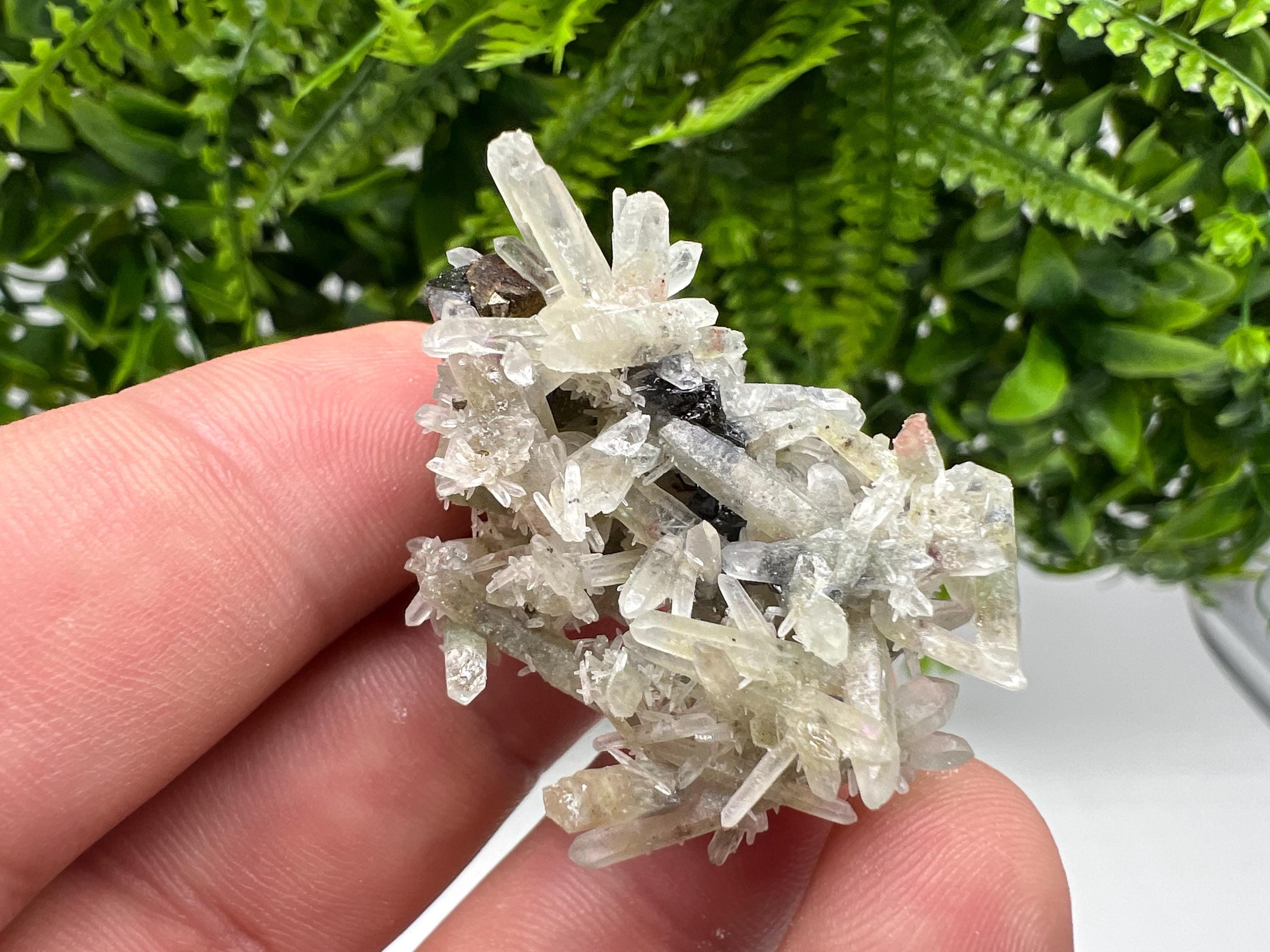 Sphalerite Chalcopyrite on Green Quartz with Hematite, Bulgaria Mineral Specimen