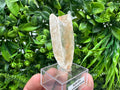 Raw Utah Golden Phantom Selenite Slab: Fishtail Selenite Wand