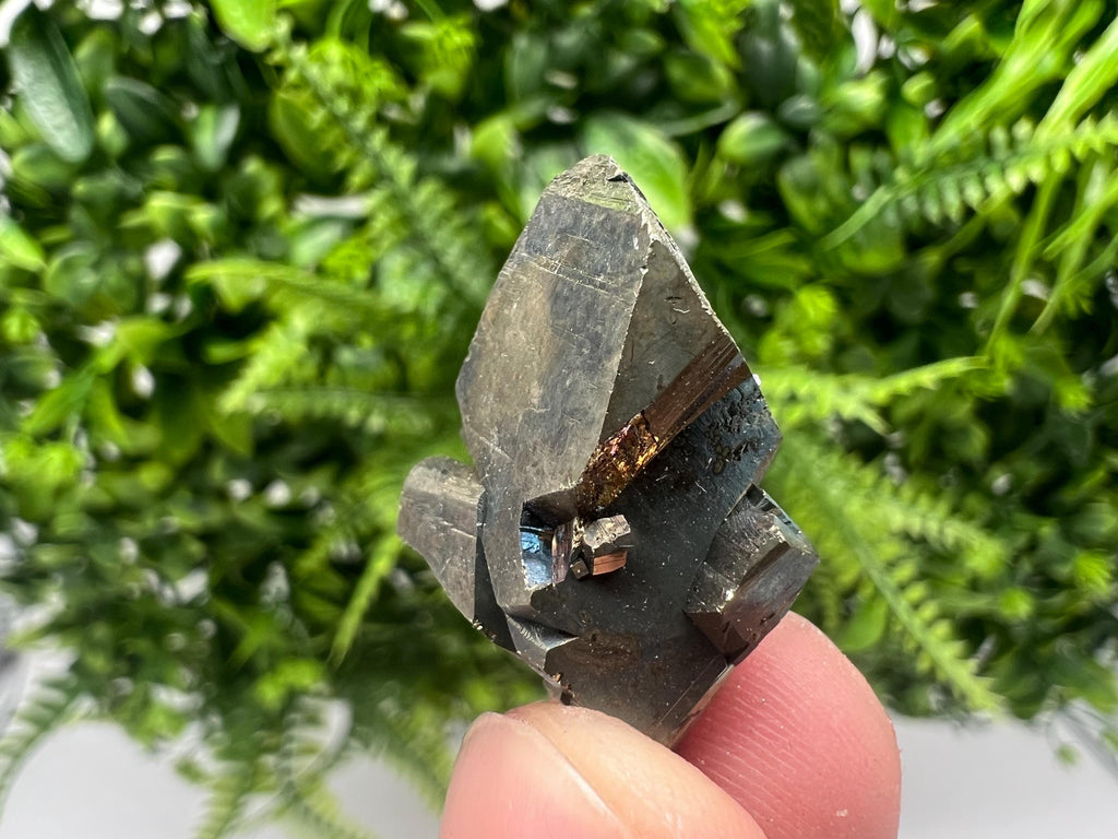 Mini Rainbow Pyrite Cluster: Borieva Mine, Bulgaria