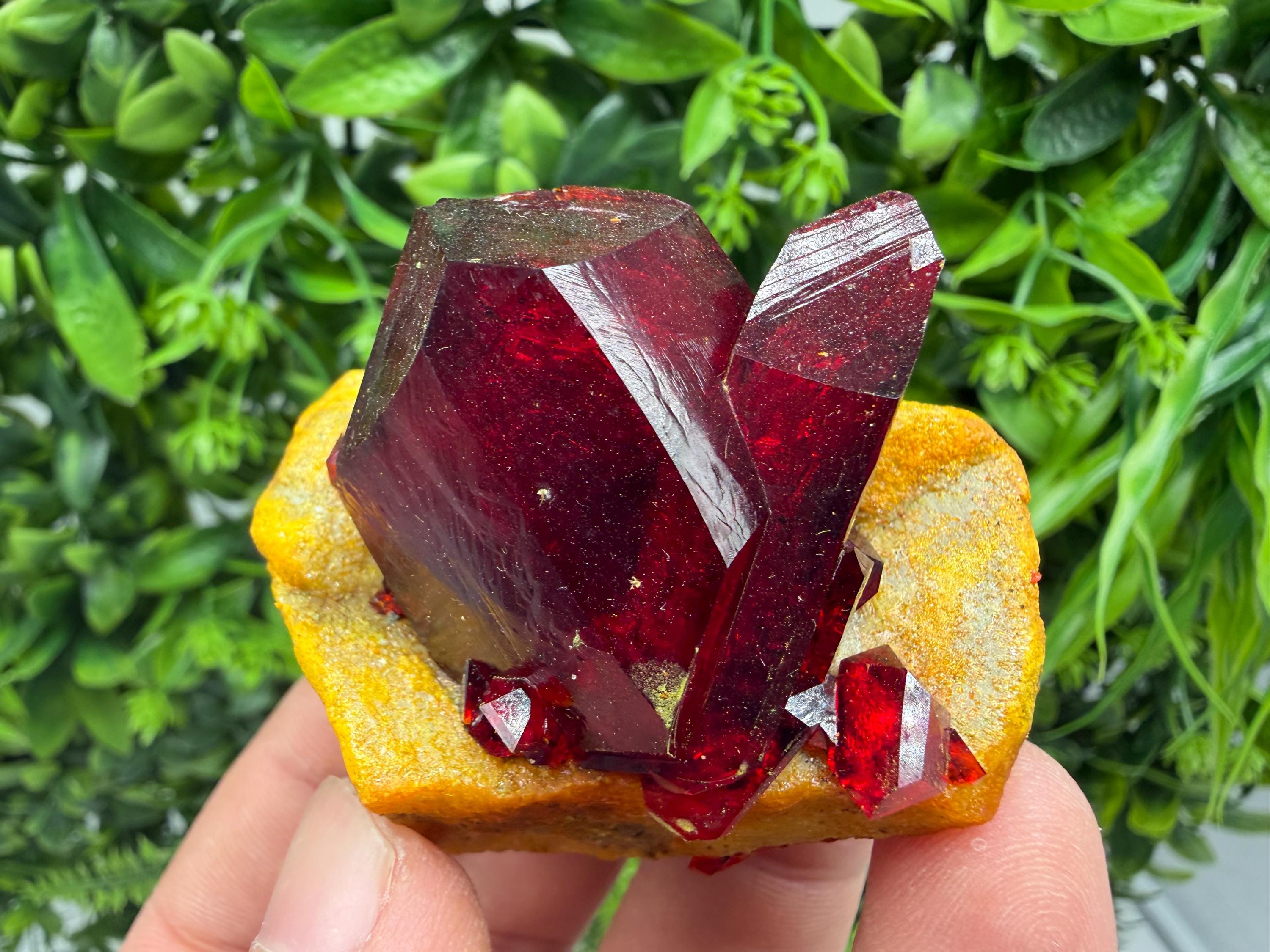XXL Laboratory Pruskite Ruby Crystal on Matrix