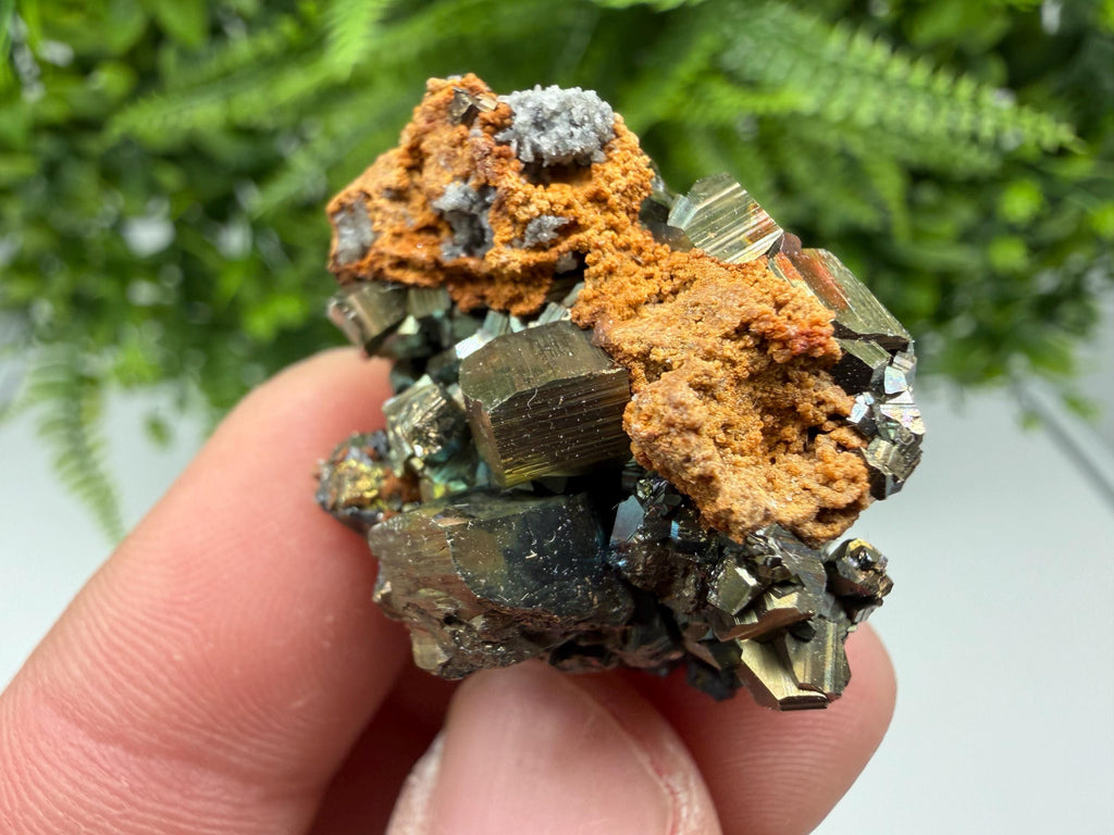 Rainbow Pyrite Cluster: Bulgarian Mineral Specimen, Home Decor Gift