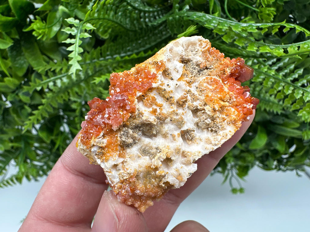 Red Vanadinite on Barite, Morocco Mineral Specimen